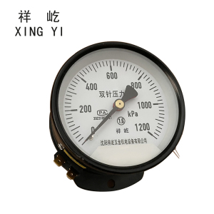 祥屹 双针双管压力表 YYS-JY-100Z 24V轴向 台