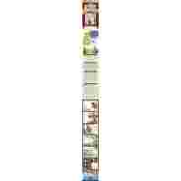 李调元 川中才子