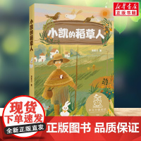 小凯的稻草人 汤素兰 著 4年级阅读课外书中文分级阅读8-9-10-11岁经典儿童文学寒暑假课外书阅读天津人民出版社
