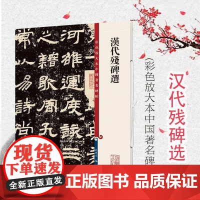 汉代残碑选 彩色放大本中国著名碑帖毛笔字帖繁体旁注原色清晰放大笔触纤毫毕现上海辞书出版社孙宝文编