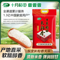 十月稻田长粒香大米5kg东北黑龙江粳米10斤2024年新米