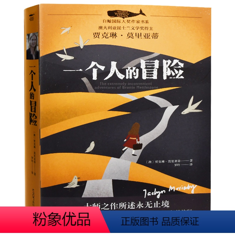 一个人的冒险 [正版]文字商人 白鲸大奖作家书系 青少年中小学生阅读冒险三四五六七年记课外读物7岁-12岁假期写作 外国