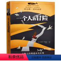一个人的冒险 [正版]文字商人 白鲸大奖作家书系 青少年中小学生阅读冒险三四五六七年记课外读物7岁-12岁假期写作 外国