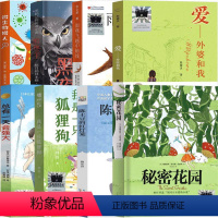 4年级套装8册 [正版]雨燕飞越中轴线四年级课外书张之路 北京少年儿童出版社总有一天会强大 陈土豆的红灯笼 微生物猎人黑