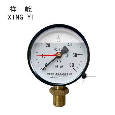 祥屹 水压表 双针压力表 Y100 块