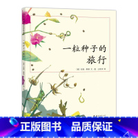 一粒种子的旅行+苹果树上的外婆+借东西的小人+长袜子皮皮 全4本 [正版]全新 一粒种子的旅行 中国小学生基础阅读书目