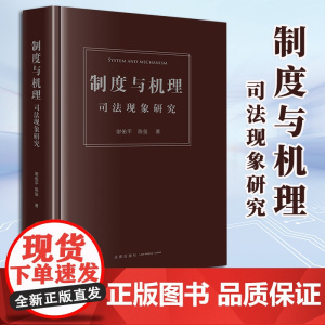 2023新书 制度与机理:司法现象研究 谢佑平 陈玺著 法律出版社