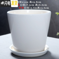 三维工匠陶瓷花盆简约绿萝白色桌面透气花盆带陶瓷托盘 101光白(配陶瓷托盘) 大花盆容器