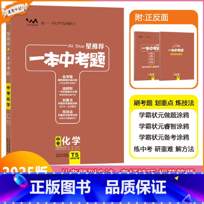 [一本中考题]化学 九年级/初中三年级 [正版]2025版星一本中考题中考化学初一初二初三中考总复习化学专项训练一本涂书