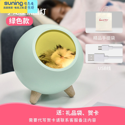 希杰狮王创意床头台灯仓鼠宠物灯卧室可爱生日礼物ins少女儿童睡眠小夜灯绿色小猫咪+usb充电线+贺卡+礼品袋灯具