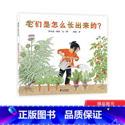 单本全册 [正版]它们是怎么长出来的硬壳精装绘本图画书让城市里的孩子亲近自然了解蔬菜生长的奥秘体会劳动辛苦和收货满足蒲蒲