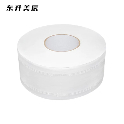 东升美辰 大盘纸450g5层12卷 DS-BH194 箱