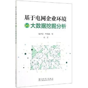 正版新书]基于电网企业环境的大数据挖掘分析钱仲文//牛东晓9787