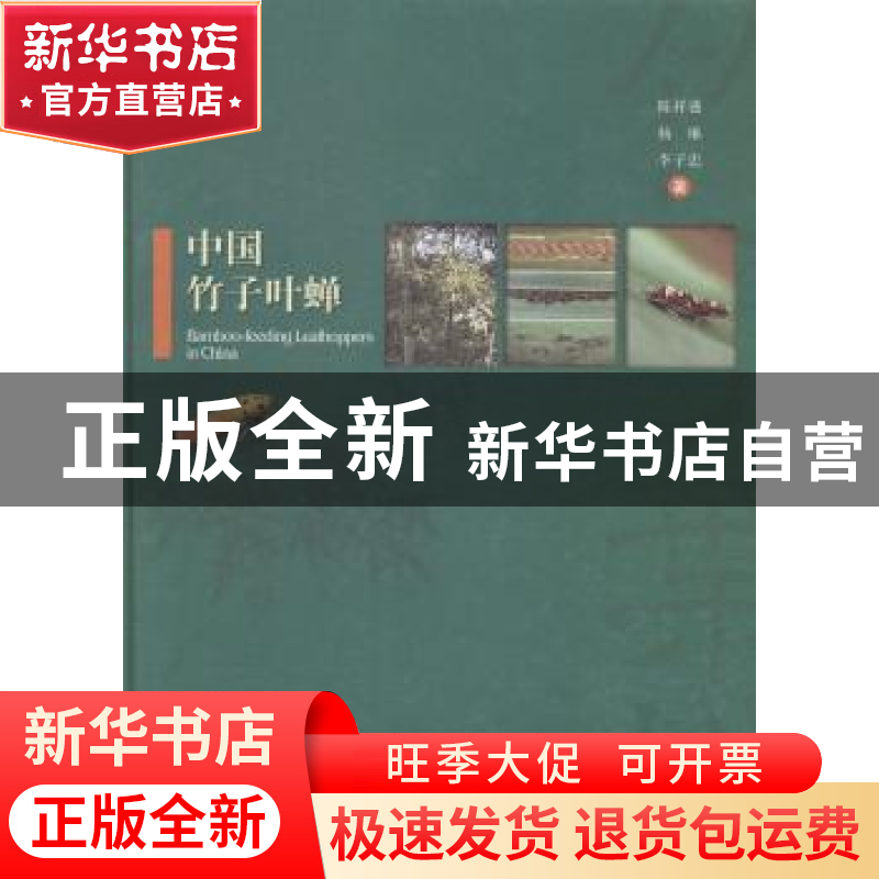 正版 中国竹子叶蝉 陈祥盛,杨琳,李子忠著 中国林业出版社 9787
