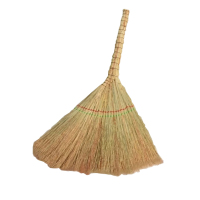 历途科技扫把金丝苗 把