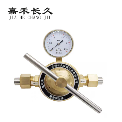 嘉禾长久 氧气减压气检测定制型 氧气表(单头) 个