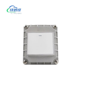 铁信成 单开开关总成 TXC - 1P 个