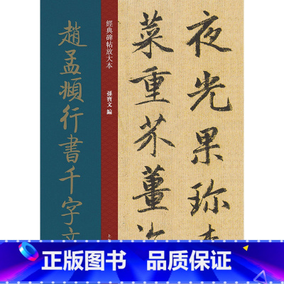 [正版]经典碑帖放大本——赵孟頫行书千字文
