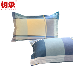 枂承