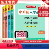 语文+数学+英语+满分作文 小学升初中 [正版]2023新版彩绘小升初入学必刷题语文现代文古诗文阅读数学易错题英语完型填