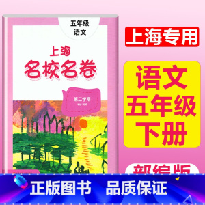 5年级下册 语文 大字版 小学通用 [正版]2024上海名校名卷二年级一二三四五年级六七八九上下册语文数学英语电子版听力