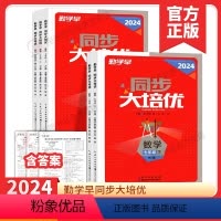 2024大培优数学 七年级下 [正版]2024版 勤学早大培优七八九年级数学物理下册 勤学早练名校压轴题初中789年级上