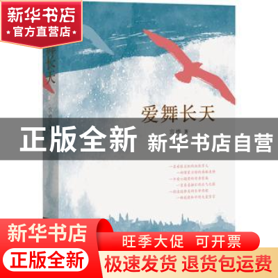 正版 爱舞长天 宫桦 中国言实出版社 9787517128861 书籍