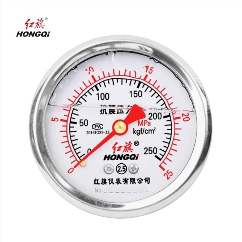 红旗 轴向耐震压力表定制检测款YTN60 块