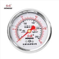 红旗 轴向耐震压力表定制检测款YTN60 块