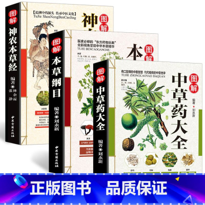 [正版]全3册 彩图全图全解中草药大全+本草纲目+神农本草经中医入门中草药材识别图鉴大全书籍药材植物彩图中药大全书中药