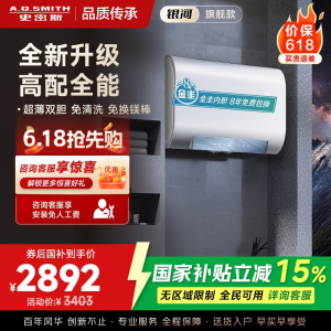 AO史密斯佳尼特家用电热水器60升 HTS免清洗免换镁棒 双胆速热HTS 一级能效 银河AIR
