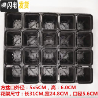 三维工匠掌柜推荐桌面简约多肉植物花盆小黑方扦插育苗塑料方盆价优 黑色5.5CM80个20孔花架4个 中小花盆容器