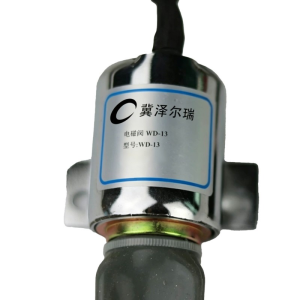 冀泽尔瑞 电磁阀 WD-13 个