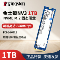 NV3 1TB固态硬盘M.2 NV3 PCIe4.0 笔记本系统盘存储游戏加速硬盘 全新硬盘盒装单个1TB 读速6000MB/s