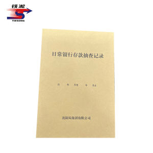 铁凇 日常银行存款抽查记录 A4 册