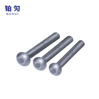 铂灳 半圆头铆钉 6*24mm 个