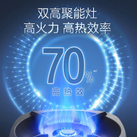 万和燃气灶天然气5.0KW双眼灶具台嵌两用煤气灶G6-L50-12T