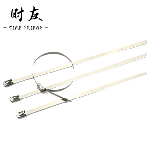 时友 TIME FRIEND 钢扎带 3*300 根