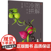 图解冷拼制作技艺(餐饮行业职业技能培训教程) 王炳华 中国轻工业出版社 正版书籍