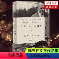 [正版]与瓦尔泽一起散步 卡尔泽利希著 现代德语文学奠基人珍贵对话录 文学大师给世界写下的动人遗言 外国文学散文随笔