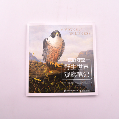 荒野守望:野生世界观察笔记
