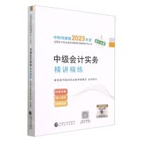 [N]中级会计实务精讲精练/中财传媒版2023年度全国会计专业技术资格考试辅导系列丛书-9787521845426