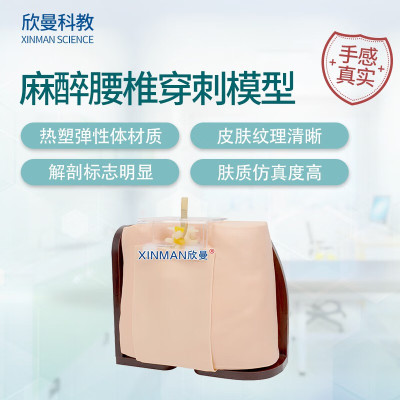 欣曼科教 椎管内麻醉腰椎穿刺模型 脊椎穿刺模拟人XM-YC03