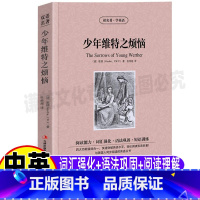 [正版]少年维特之烦恼英文版原版中英文对照双语版英汉互译读名著学英语系列青少年初中高中生必读课外书歌德原著张荣超译吉林