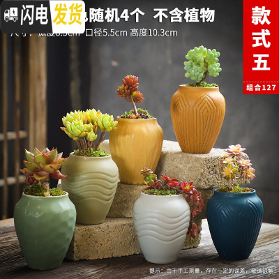 三维工匠多肉花盆陶瓷粗陶透气复古创意大号老桩肉肉植物盆 款式23 中等花盆容器