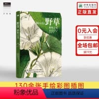 [正版]天际线野草:野性之美 50种未被驯服的美丽植物130余张精美博物图像展现野草中蕴含的野性之美译林出版社