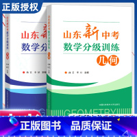 山东新中考数学分级训练 套装2册 代数 几何 曲艺 李昂主编 中国科大出版社 [正版]2024新版山东新中考数学分级训练