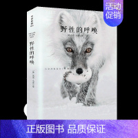 野性的呼唤 [正版]全译本 小王子 书 中文 完整无删减 圣埃克苏佩里原著 外国文学小说世界名著经典书籍 小学初高中生成