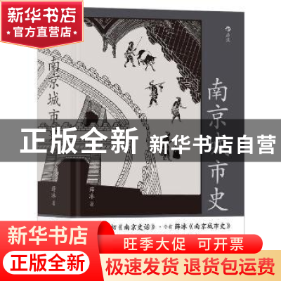 正版 南京城市史(附金陵图)(精) 薛冰 江苏凤凰文艺出版社 978755