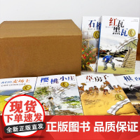 子涵童书(套装共6册)戴小桥全传+小猫和老虎+女儿的故事+蓝色小豆子+女生思繁+侦察鬼 文学课外阅读书 校园小说新华